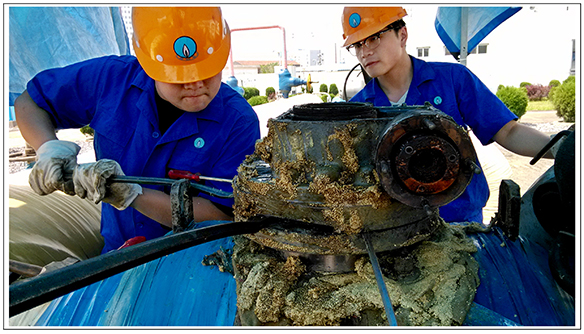 永盈会·(中国区)官方网站