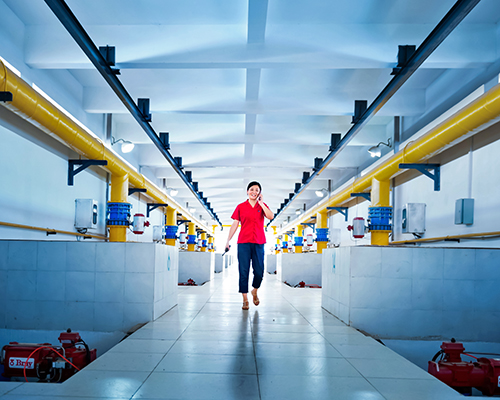 永盈会·(中国区)官方网站