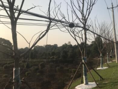 永盈会·(中国区)官方网站