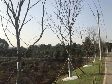 永盈会·(中国区)官方网站