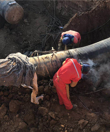 永盈会·(中国区)官方网站